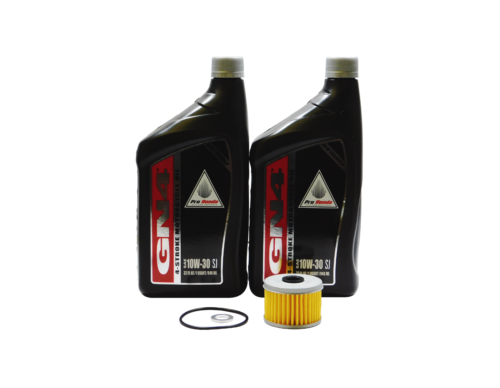 Complete Tune-Up Kit For Honda Sportrax TRX400EX - Includes NGK Plug, Oil, Air Filter & More