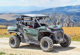 Common Can-Am Commander Issues