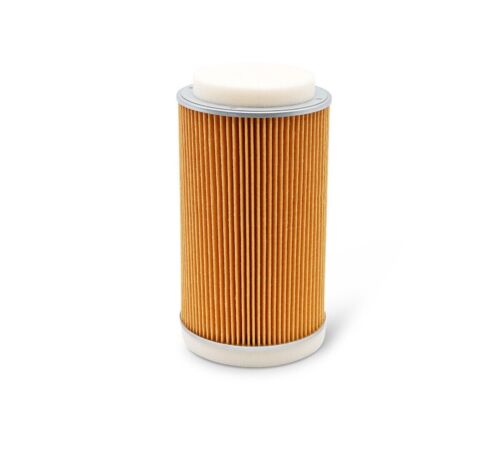 Air Filter 11029-0025