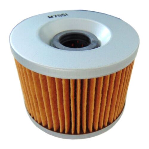  Oil Filter 16099-003