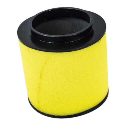 Air Filter 17254-HP0-A00