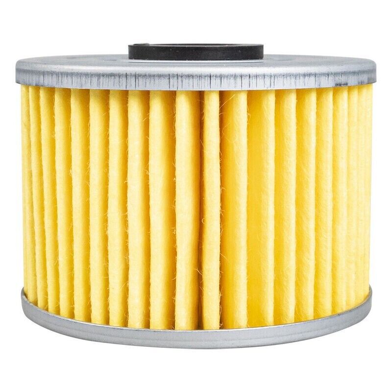 Oil Filter 2522473