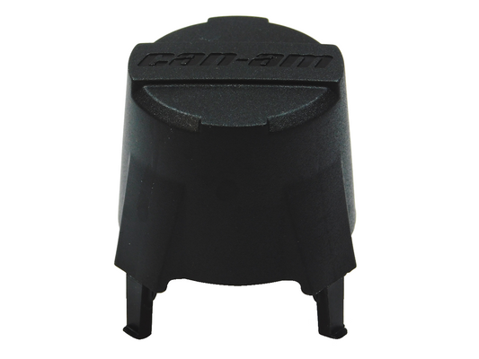 Wheel Cap 705400928