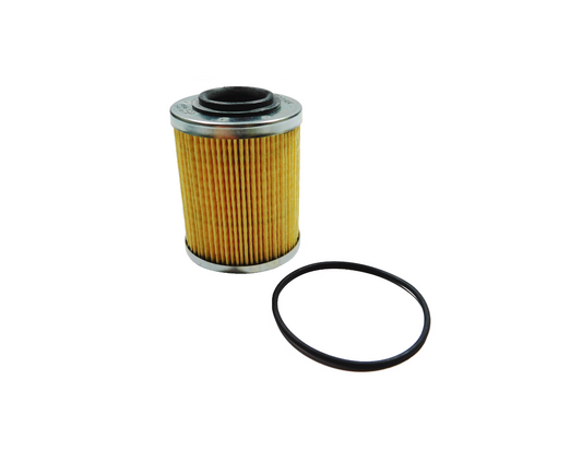 Oil Filter & O-Ring C79