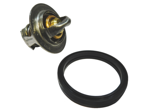 Thermostat & Gasket P91